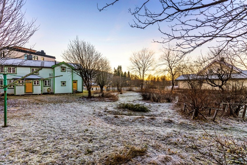 Ca. 1335kvm eiet tomt, pent opparbeidet med plen, prydbusker. Galleribilde