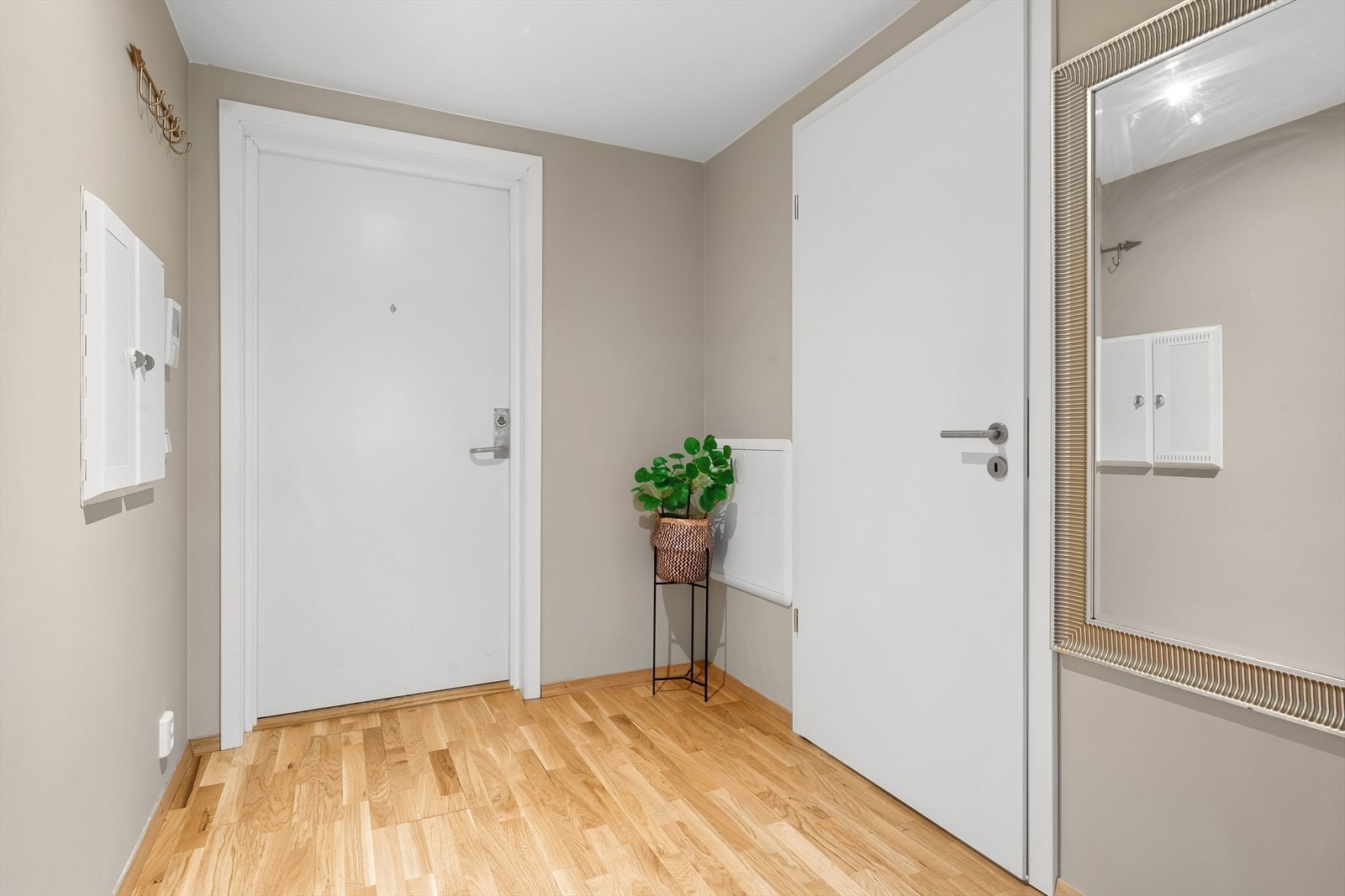 Velkommen til visning! Galleribilde