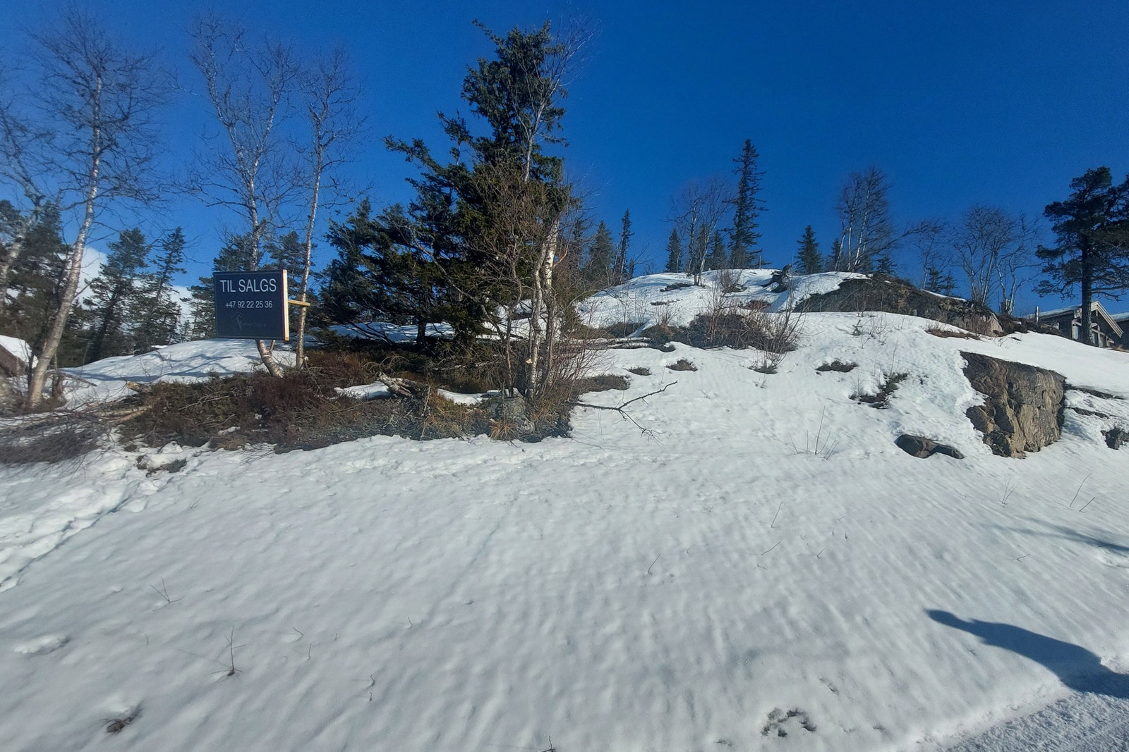 Tomt sett fra veien (sør) Galleribilde