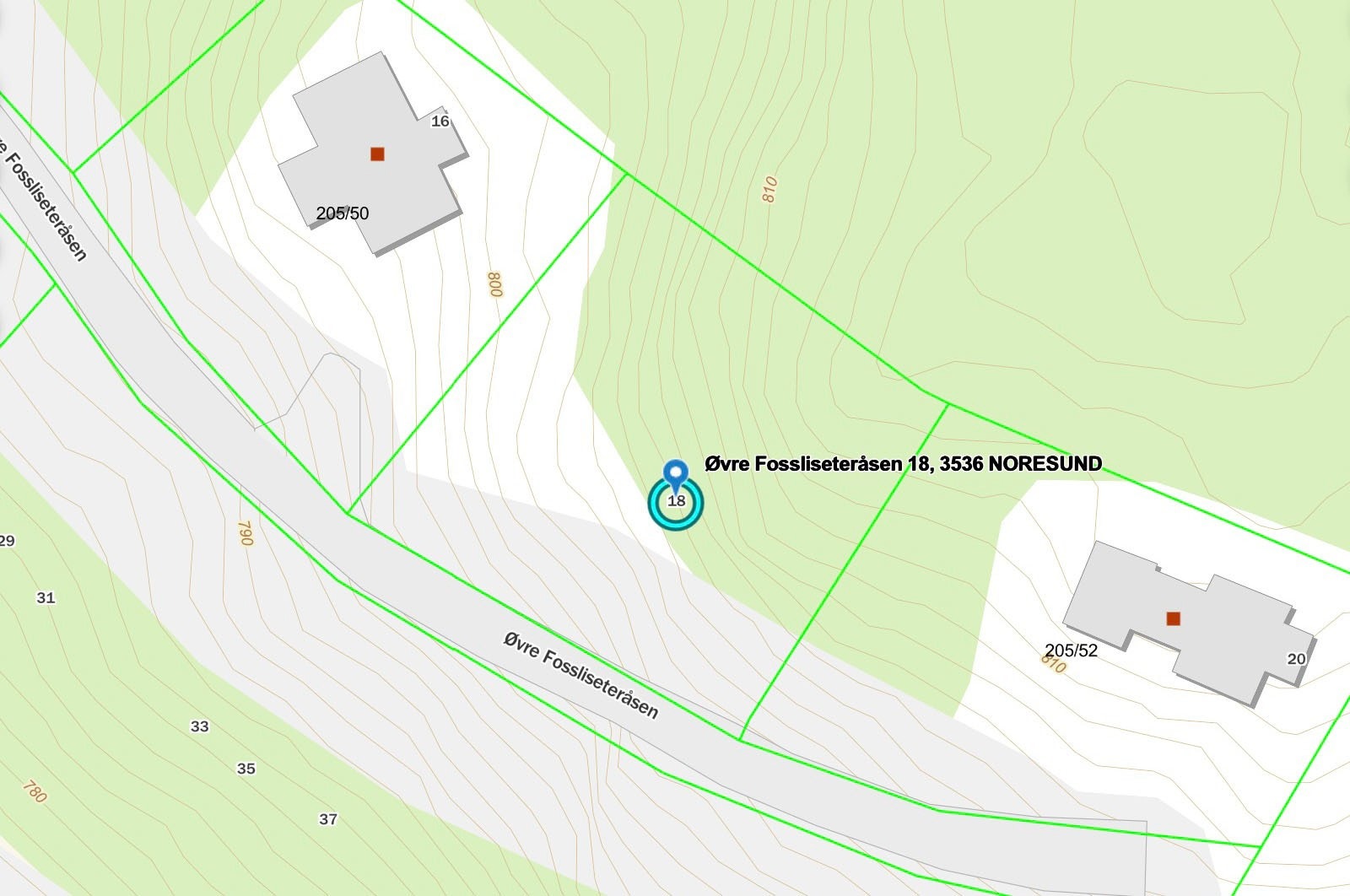 Stor tomt på oversiden av veien Galleribilde