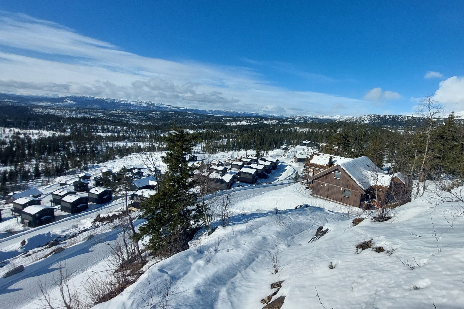 Flott utsikt mot vest Galleribilde