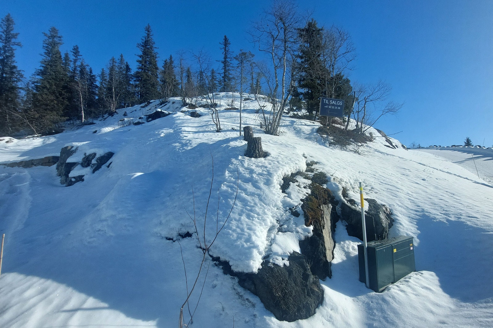 Tomt sett fra veien (vest) Galleribilde