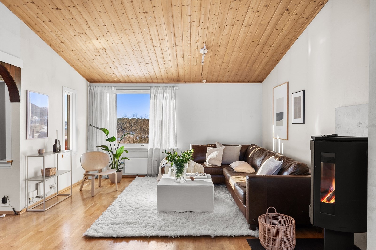 Peisovn med glassfront varmer godt på kalde høst- og vinterkvelder Galleribilde