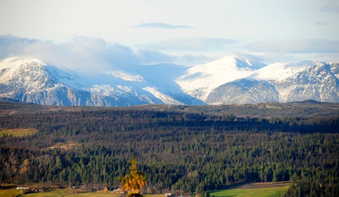 Majestetisk natur Galleribilde