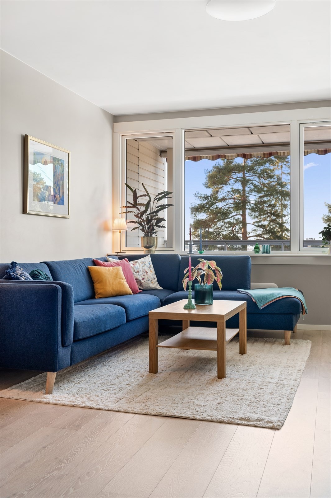 Vinduer oppgradert i regi av borettslaget i 2015 Galleribilde