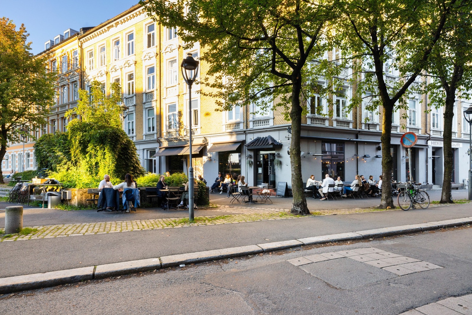 Områdebilder Galleribilde