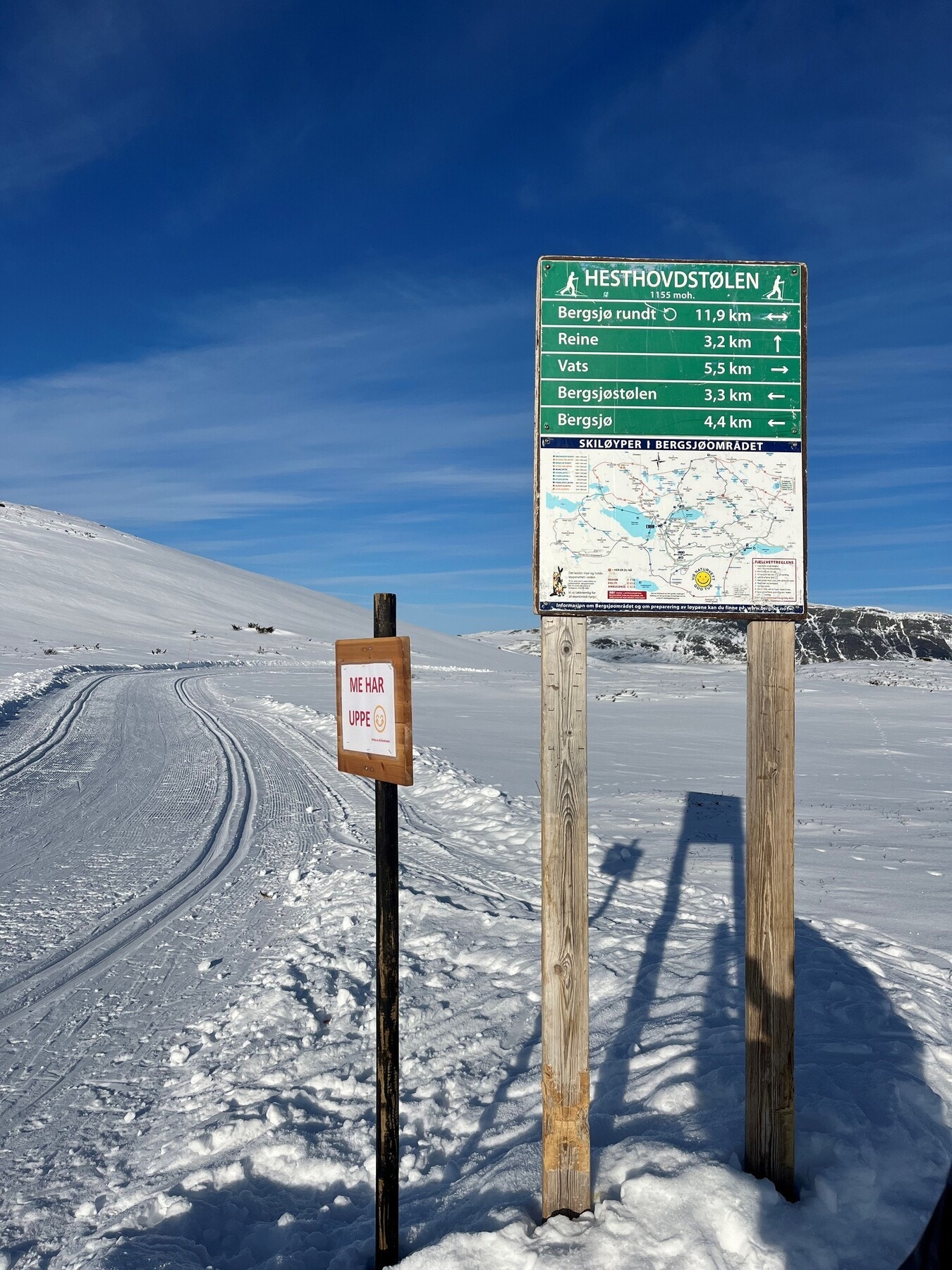 Selgers bilde. Galleribilde