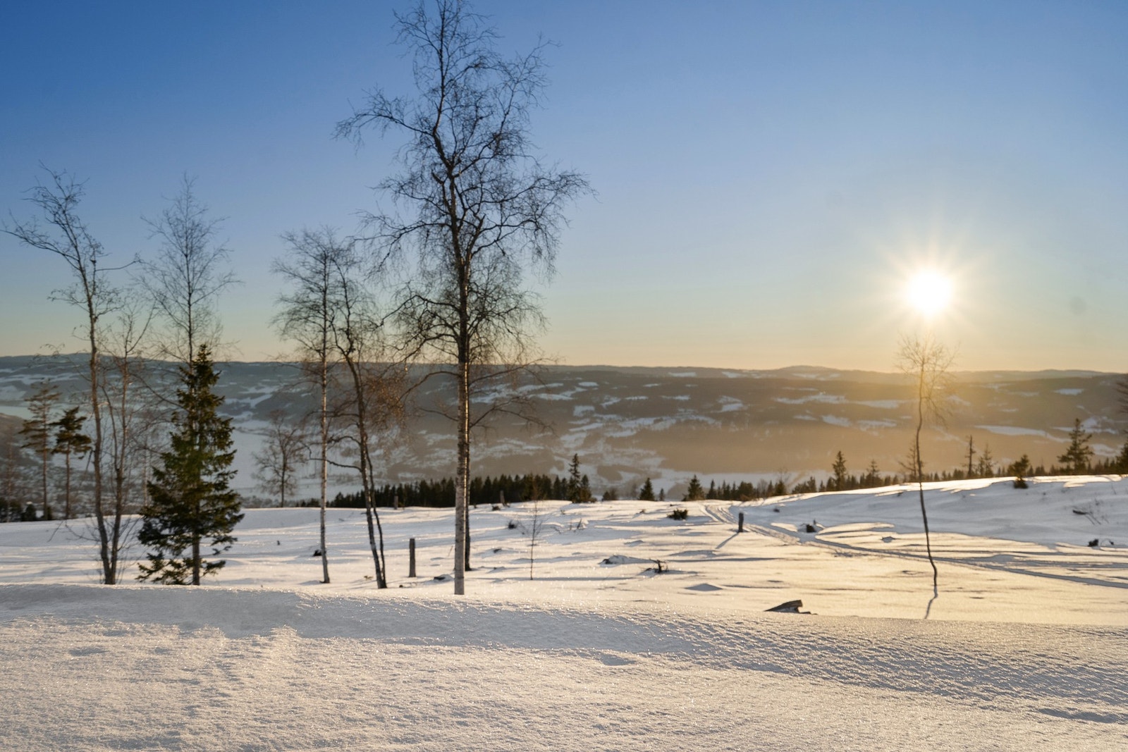 Fantastiske omgivelser. Galleribilde