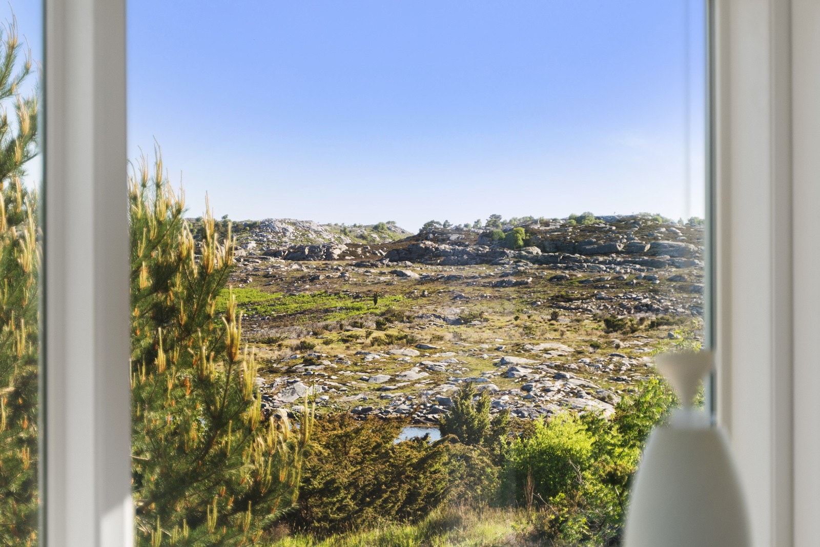 utsikt fra stuen Galleribilde