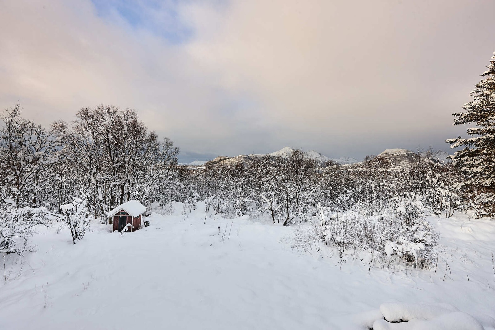 Nydelig utsikt Galleribilde