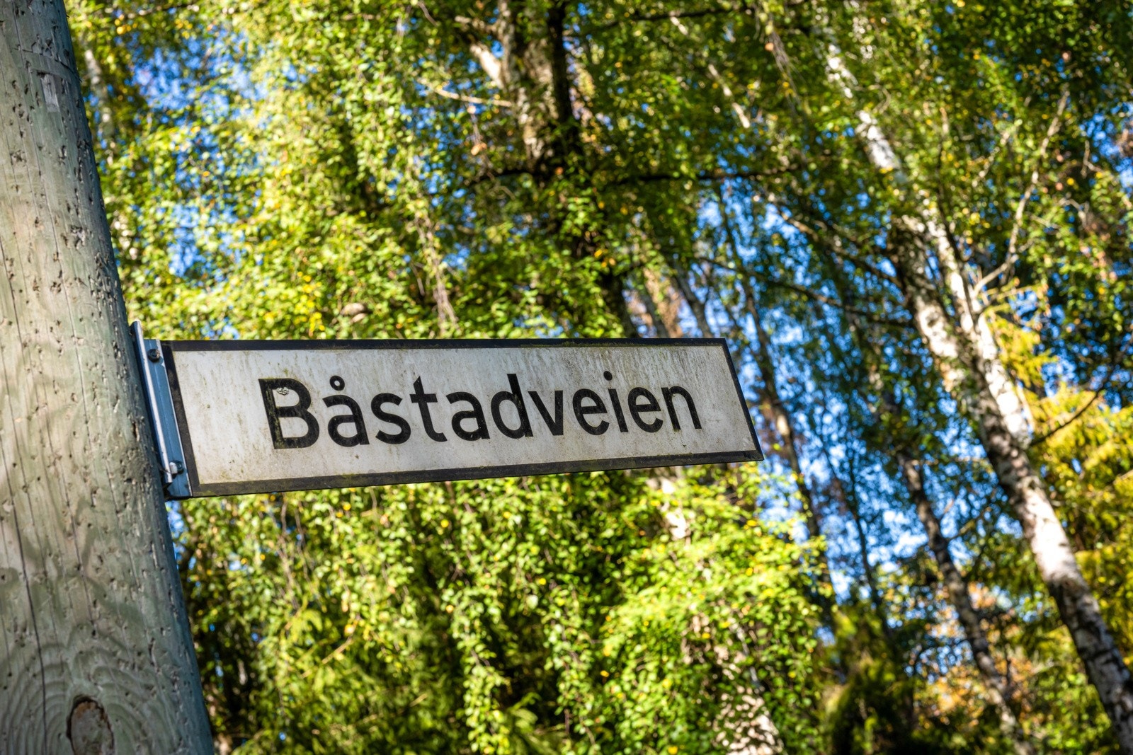 Båstadveien ligger barnevennlig til i et veletablert område. Galleribilde