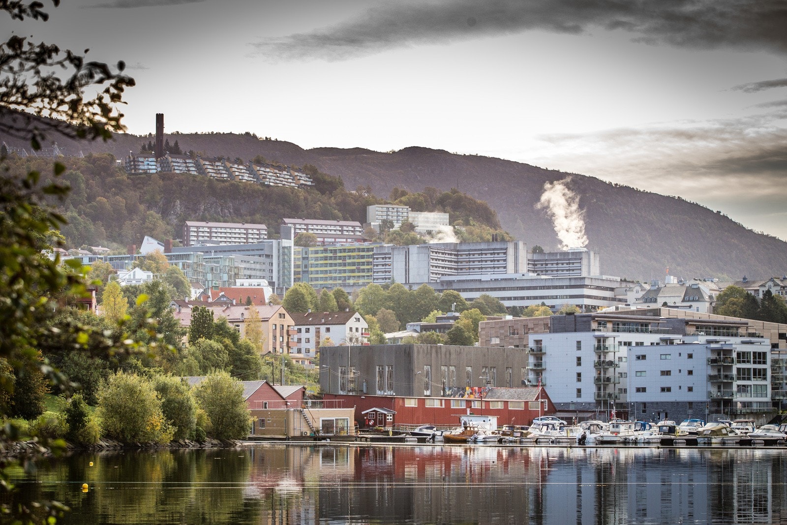 - Det er umiddelbar nærhet til store arbeidsplasser, som f.eks Haukeland og Media City - Galleribilde
