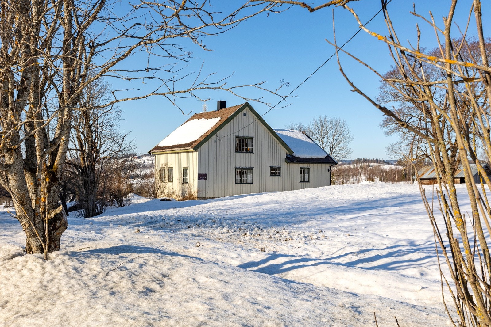 Tomta rundt er skilt ut for dyrking av gress Galleribilde