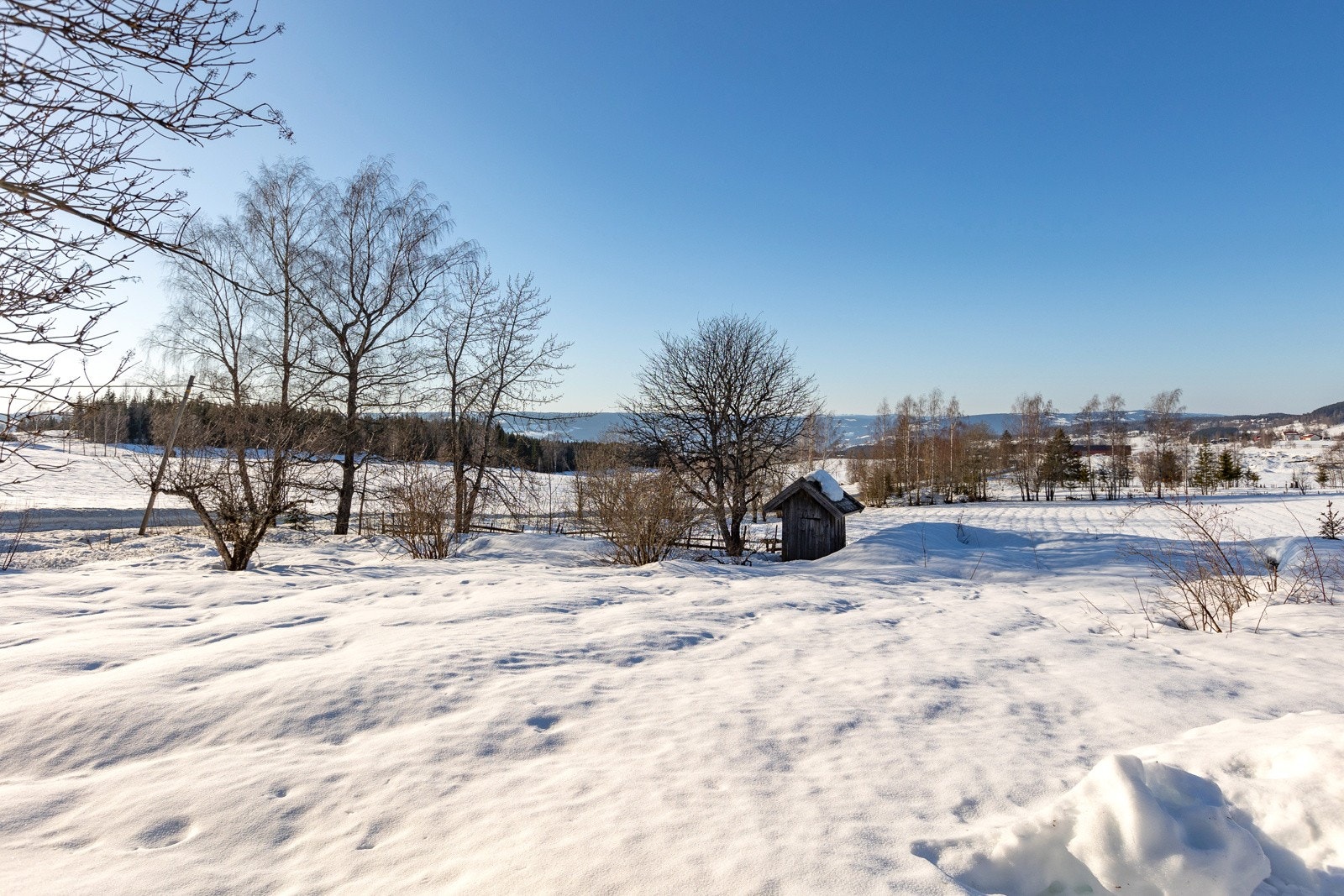 Tomta på ca 2.2 mål, har iflg historien inneholdt både bær, frukttrær og egen grønnsakshage Galleribilde