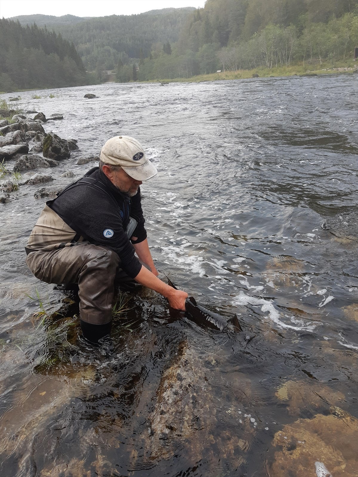 Seljaren sine eigne bileter Galleribilde