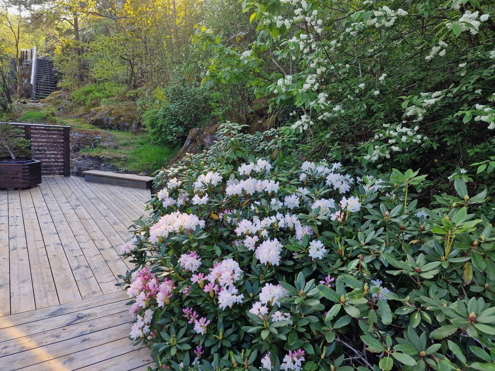 Flott opparbeidet uteområde Galleribilde