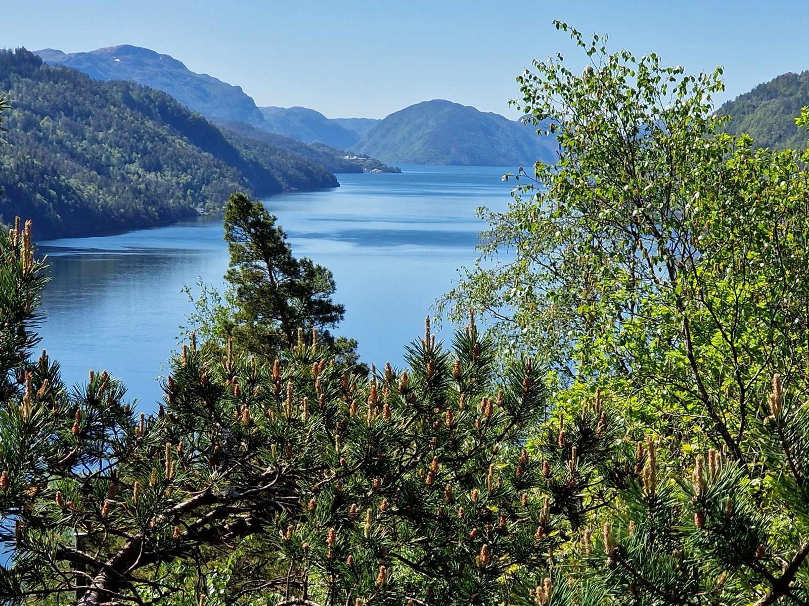 Utsikt mot Sand Galleribilde