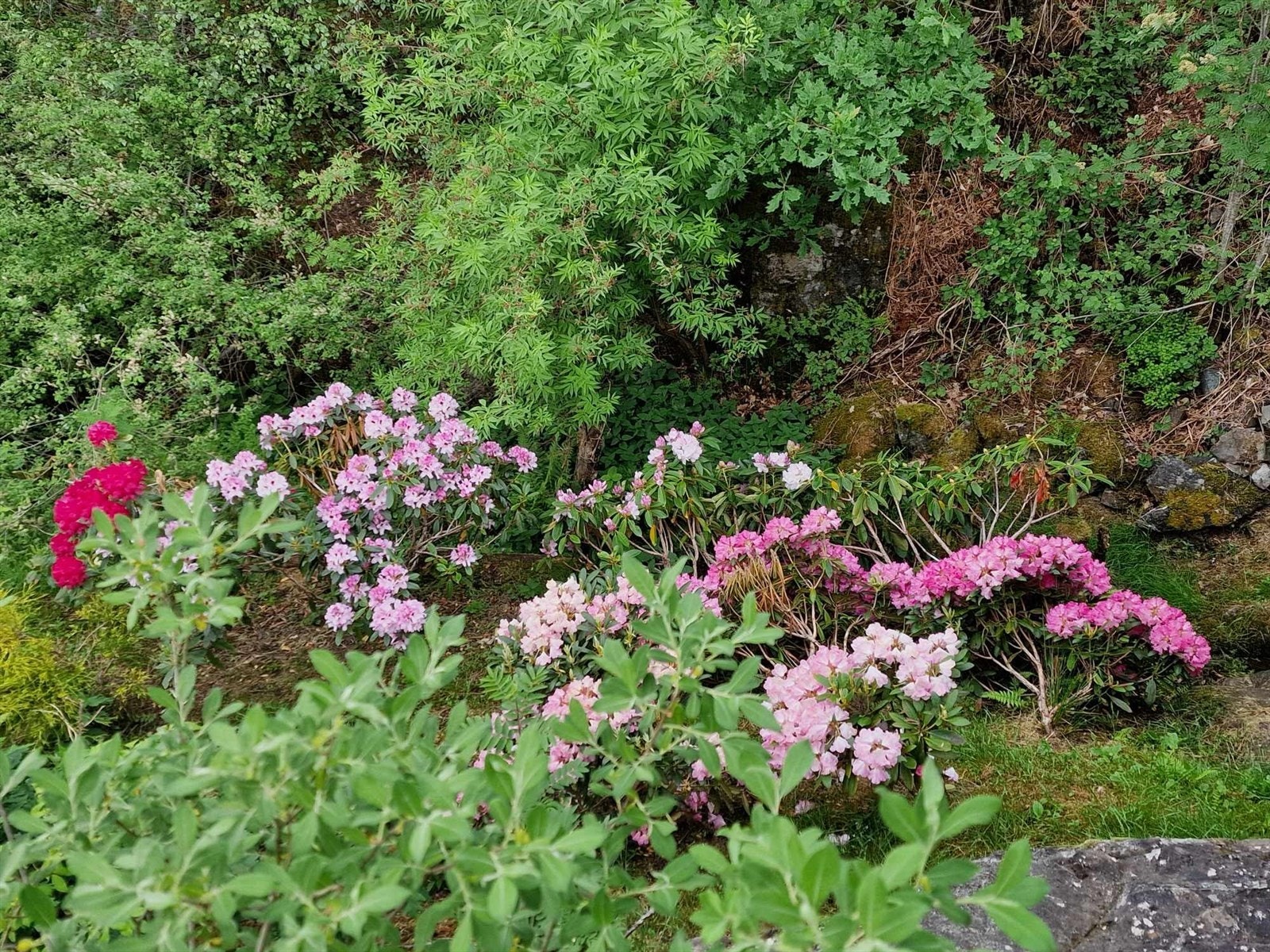 Flott opparbeidet uteområde Galleribilde