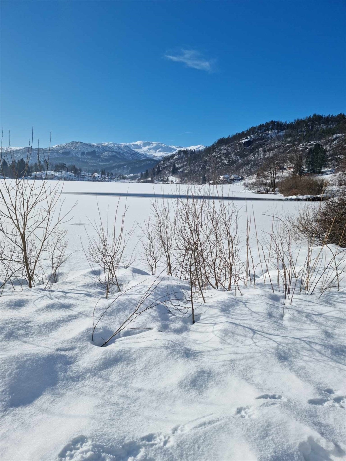 Sauda byr på uendelige turområder, både sommer og vinter. De fleste dalføre er 15-30 min kjøreavstand fra hytta Galleribilde