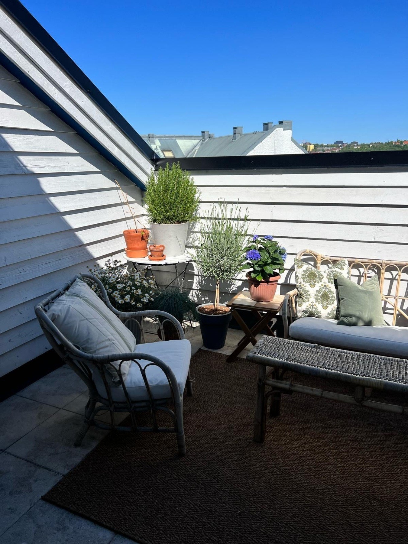 (private bilder) Galleribilde