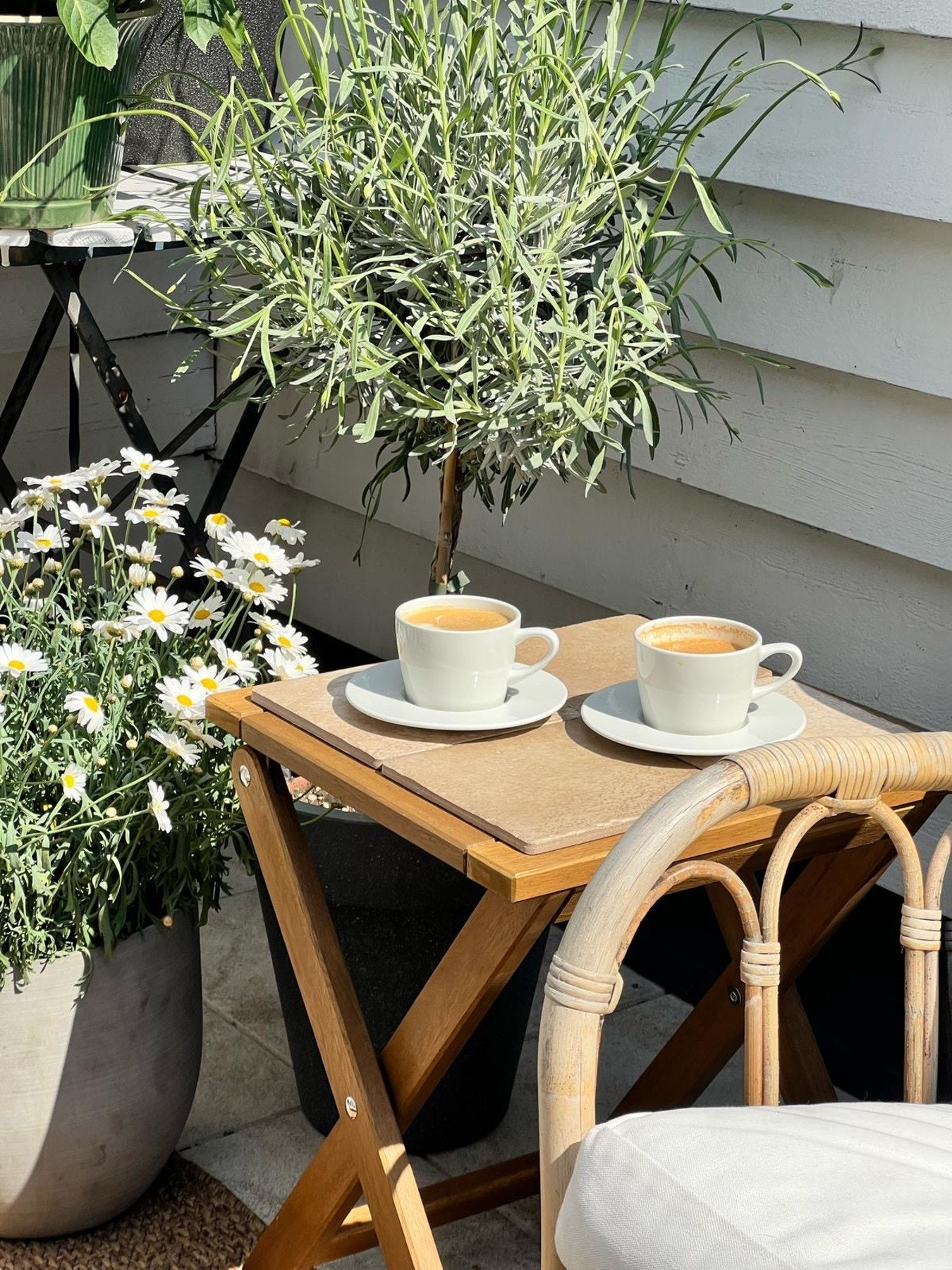 (private bilder) Galleribilde