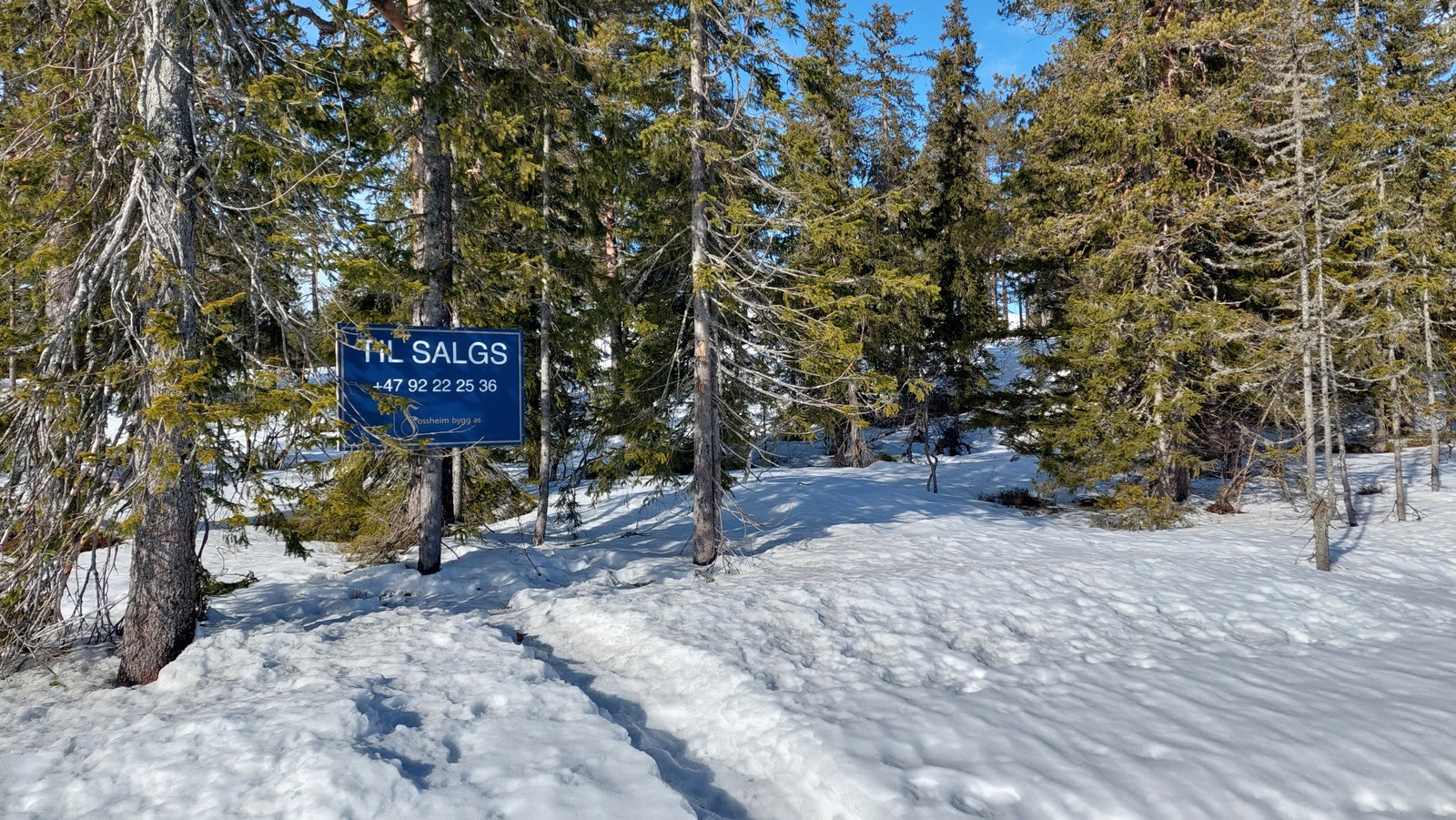 Tomten sett fra Øvre Hammarveien Galleribilde