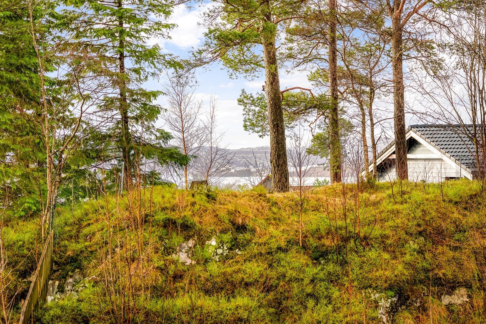 Sjøgløtt fra balkongen Galleribilde