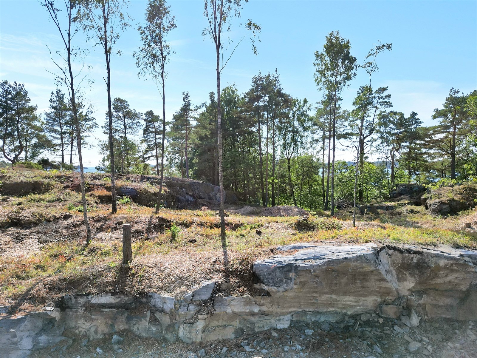 Kossevigåsen 23 Galleribilde