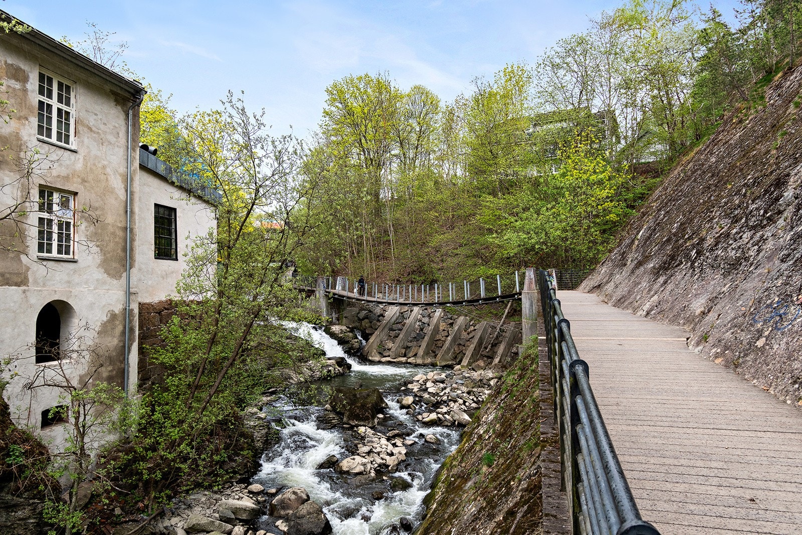 Nærområde - Alnastien i urskogen Svartdalen byr på flotte turmuligheter like i nærheten Galleribilde