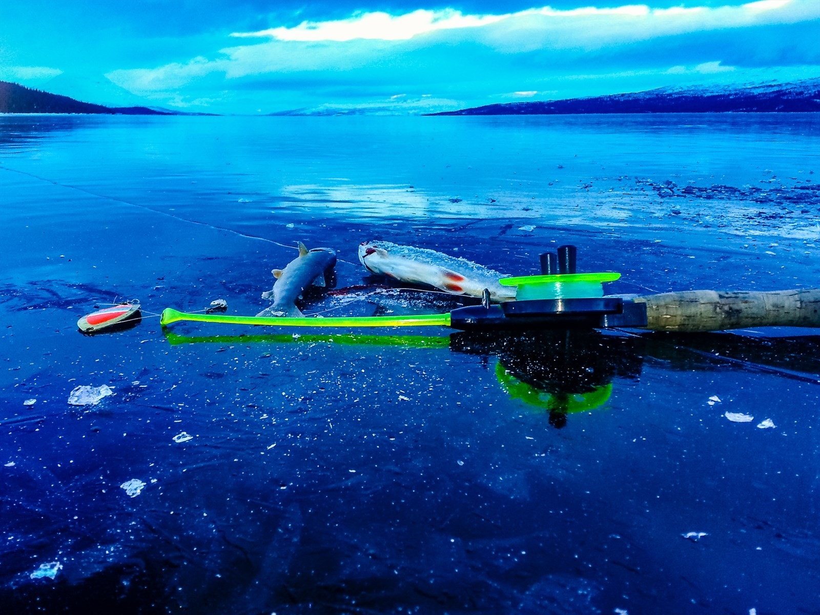 Vinteren byr også på en rekke flotte naturopplevelser, som isfiske. Galleribilde