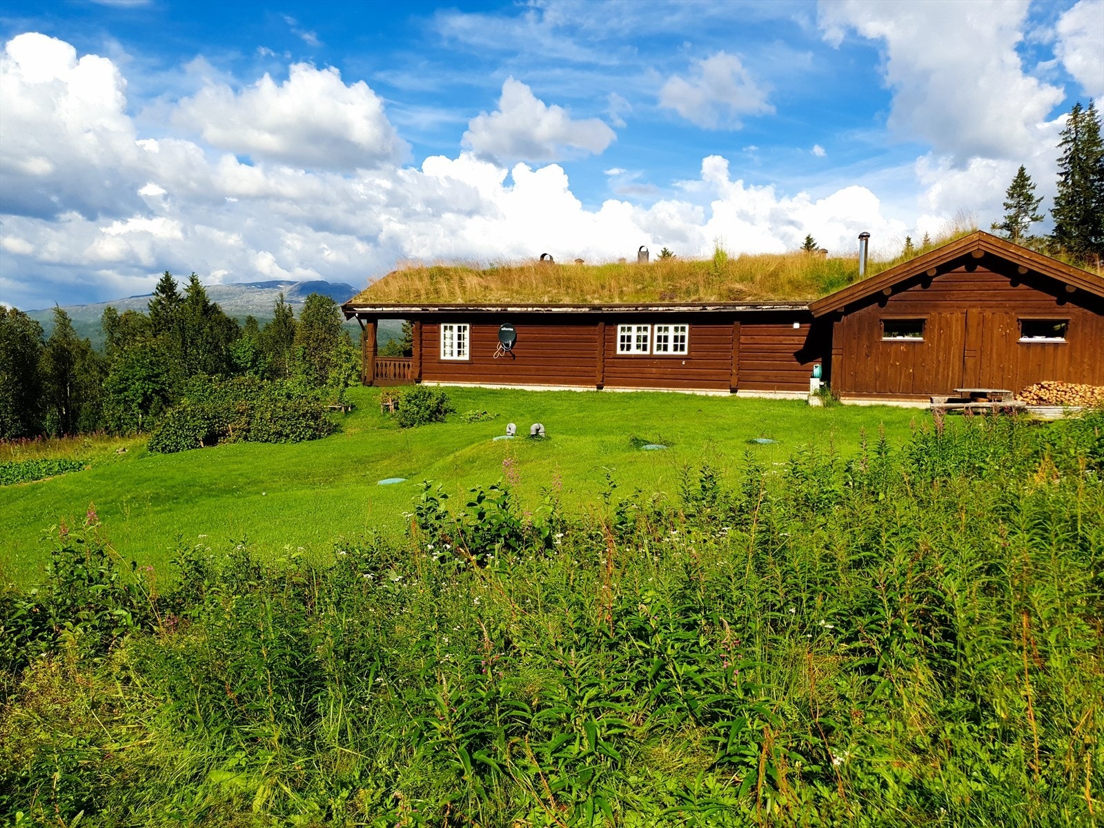 Godt med boltreplass rundt boligen. Galleribilde