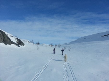 Uendelige muligheter til å gå lange skiturer. Galleribilde