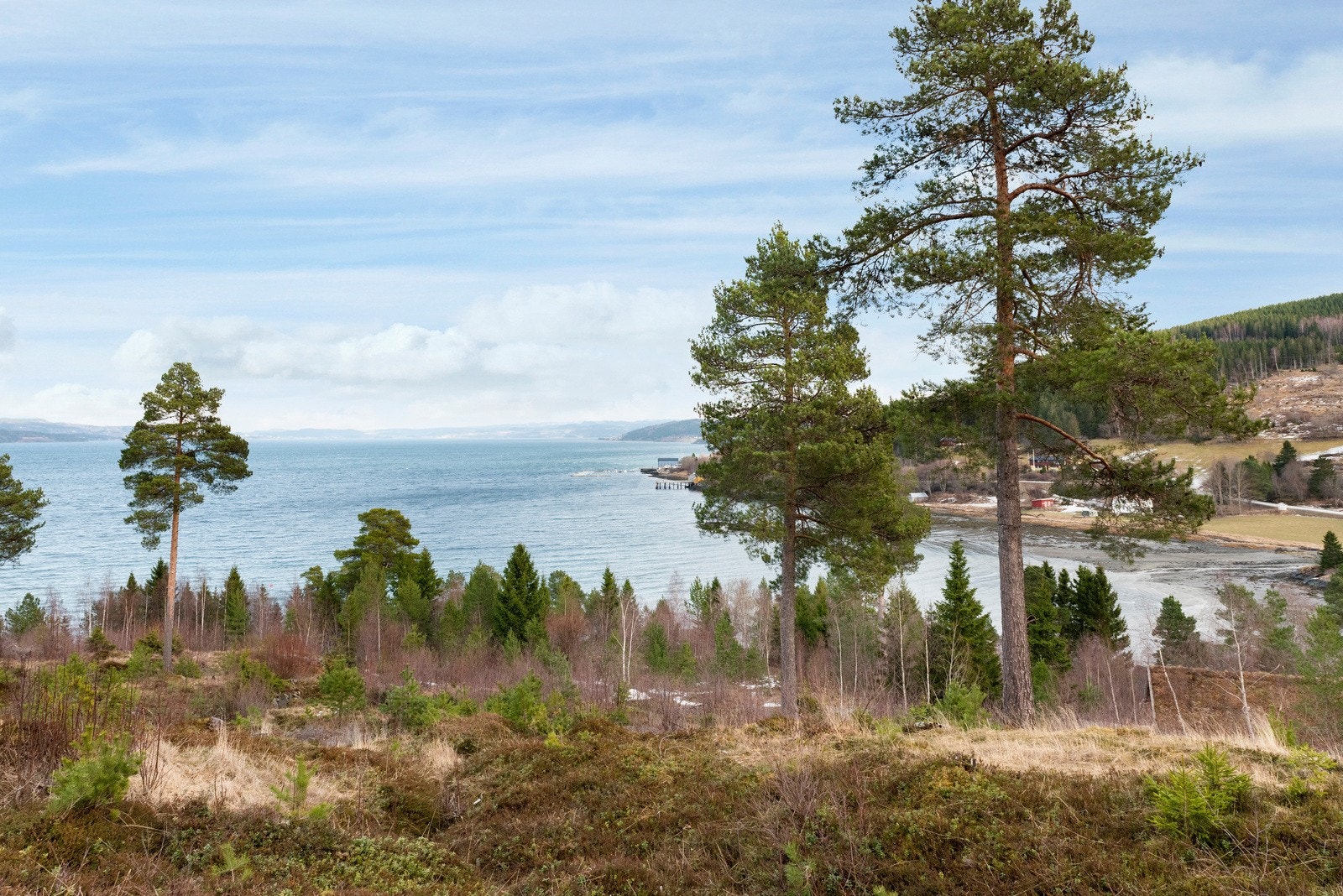 Flott uhindret utsyn mot sjøen. Galleribilde