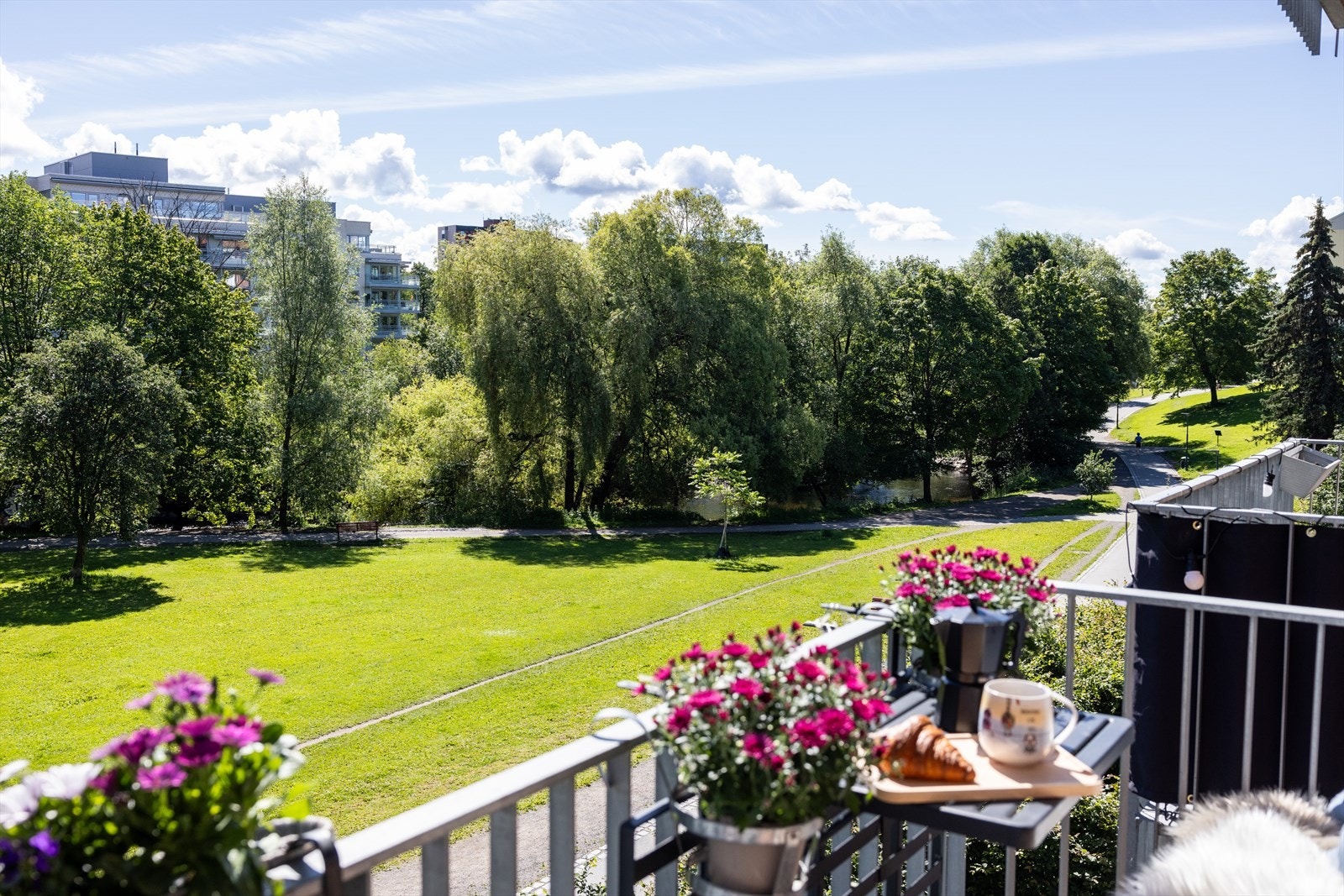 - Her er det hyggelig morgensol - Galleribilde