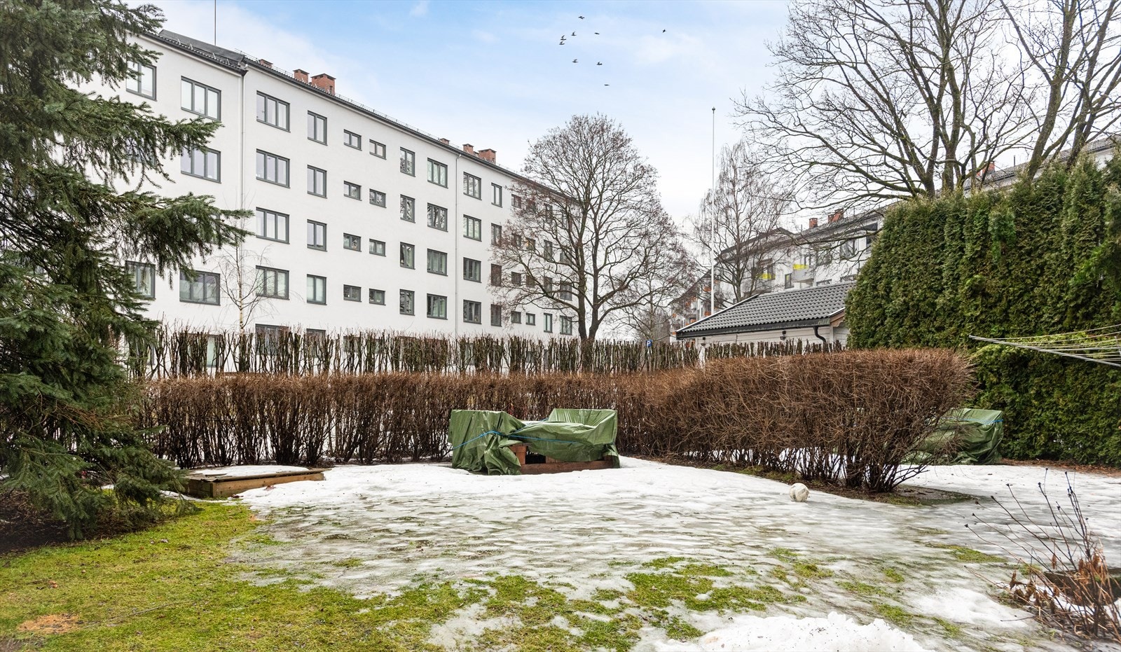 Hyggelig grøntområde i bakgård Galleribilde