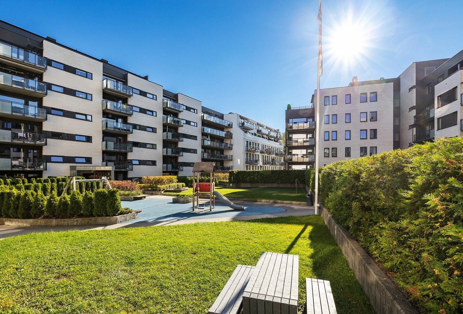 Sommerbilde fra felles bakgård Galleribilde