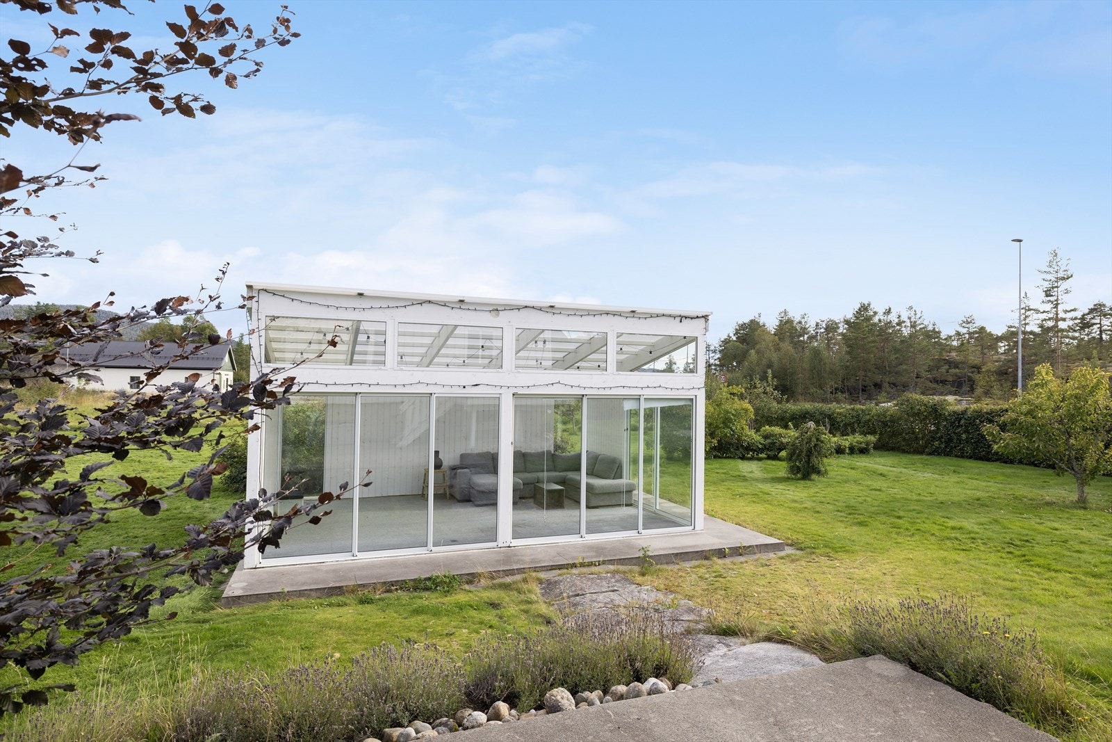 Eple- og plommetrær i hagen Galleribilde