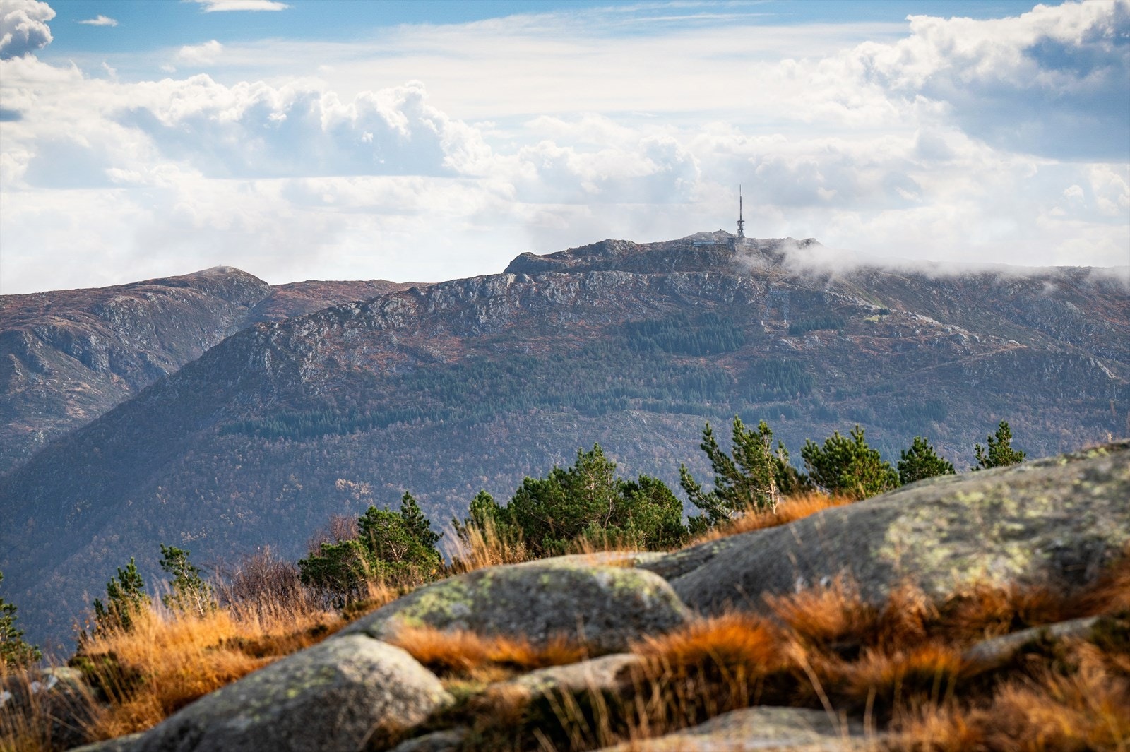- Damsgårdsfjellet er et av Bergens sju fjell, og utsikten er fantastisk - Galleribilde