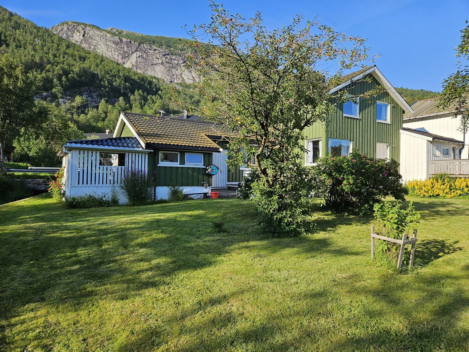 Privat sommerbilde. Galleribilde