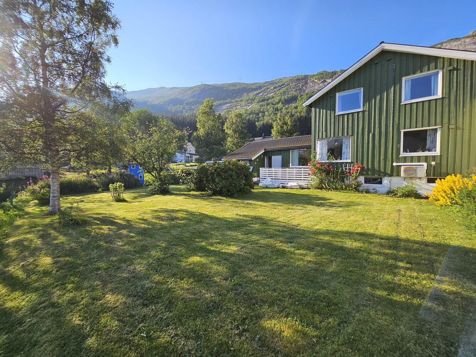 Privat sommerbilde. Galleribilde