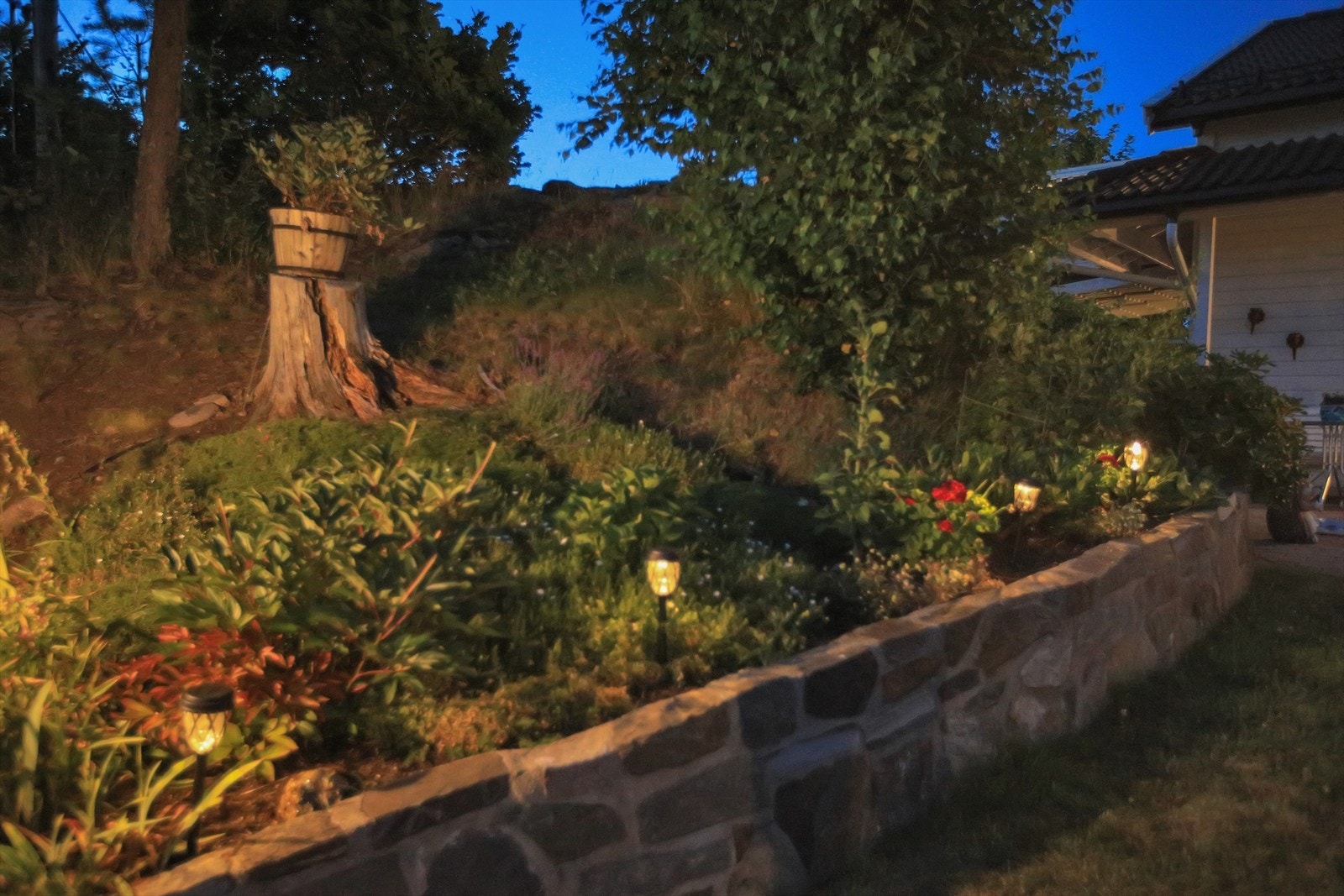 Selgers eget bilde Galleribilde