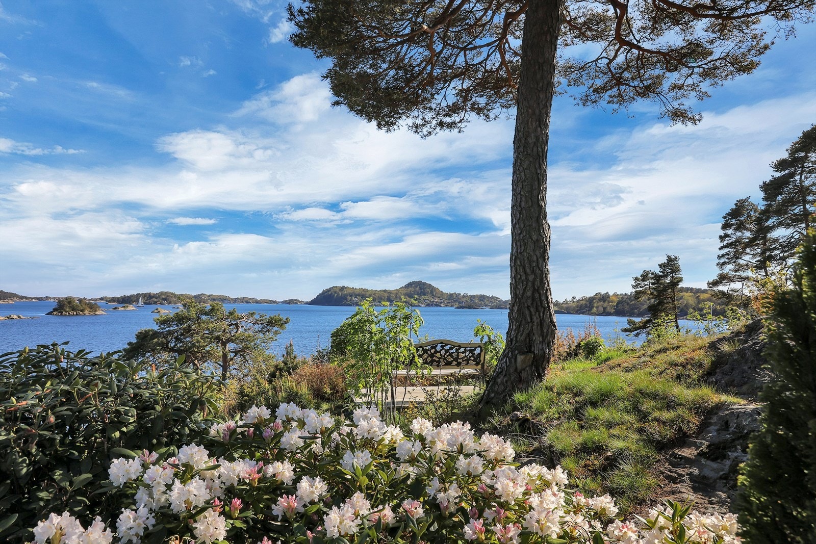 Selgers eget bilde Galleribilde