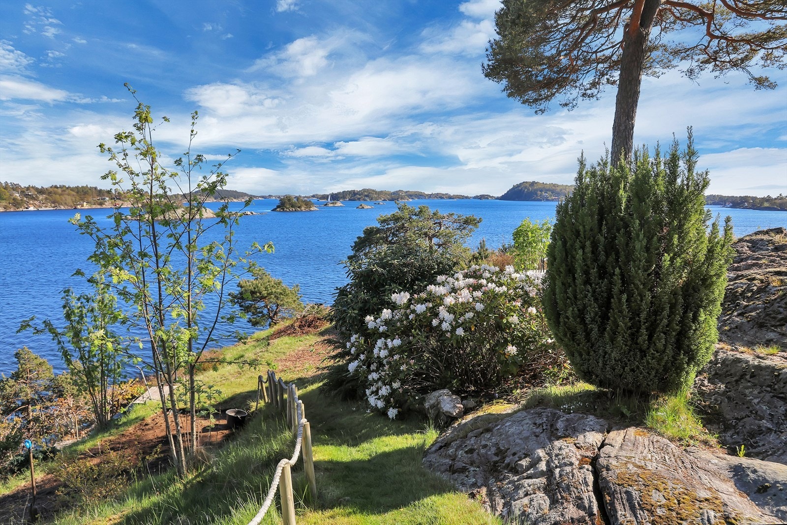 Selgers eget bilde Galleribilde