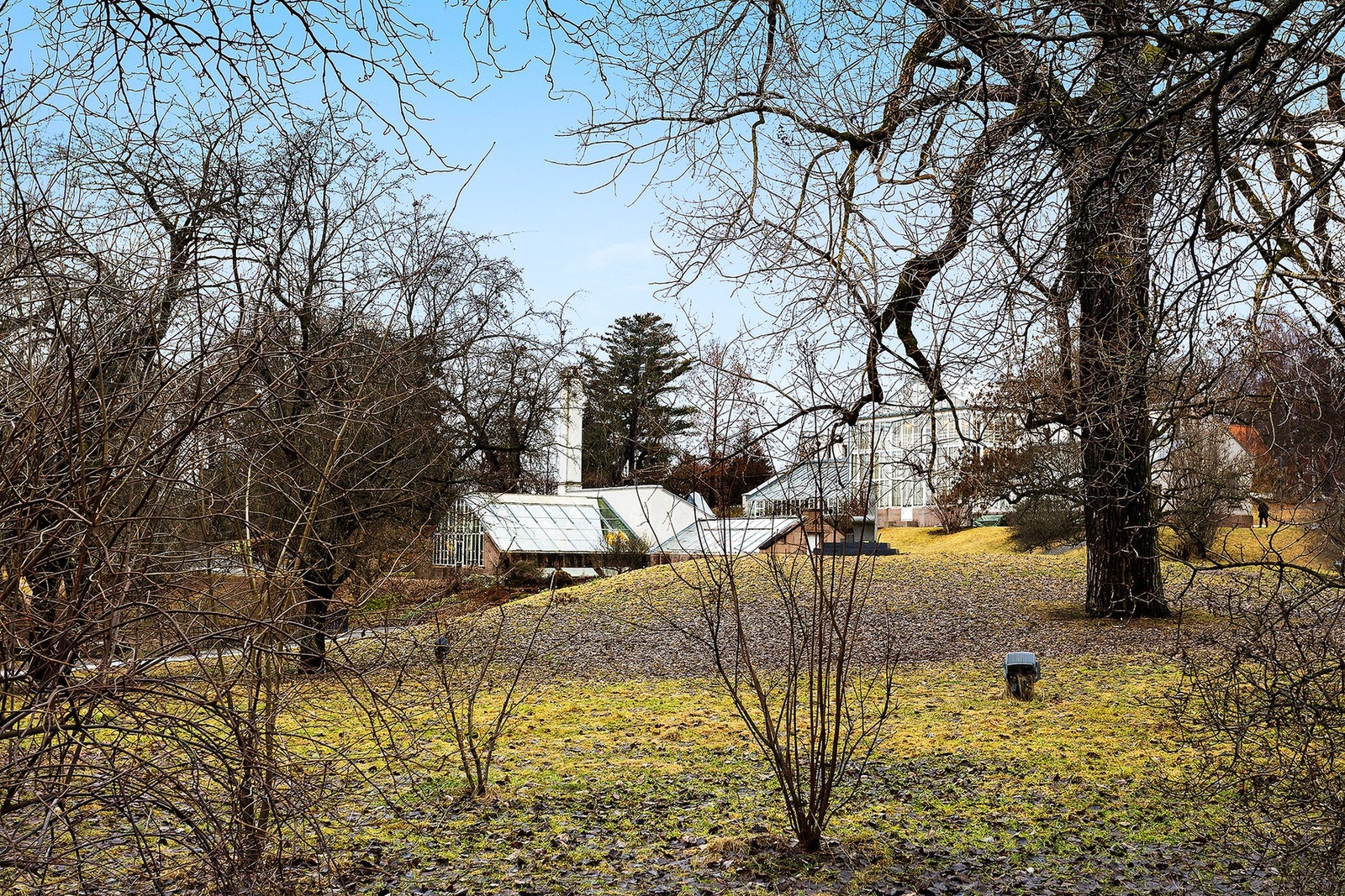 Like ved boligen ligger Botanisk Hage. Galleribilde