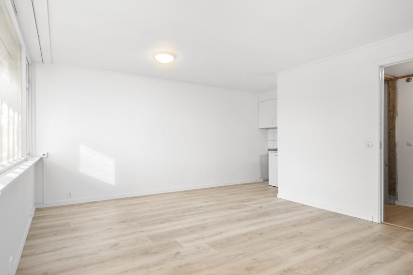 1-roms selveierleilighet Galleribilde