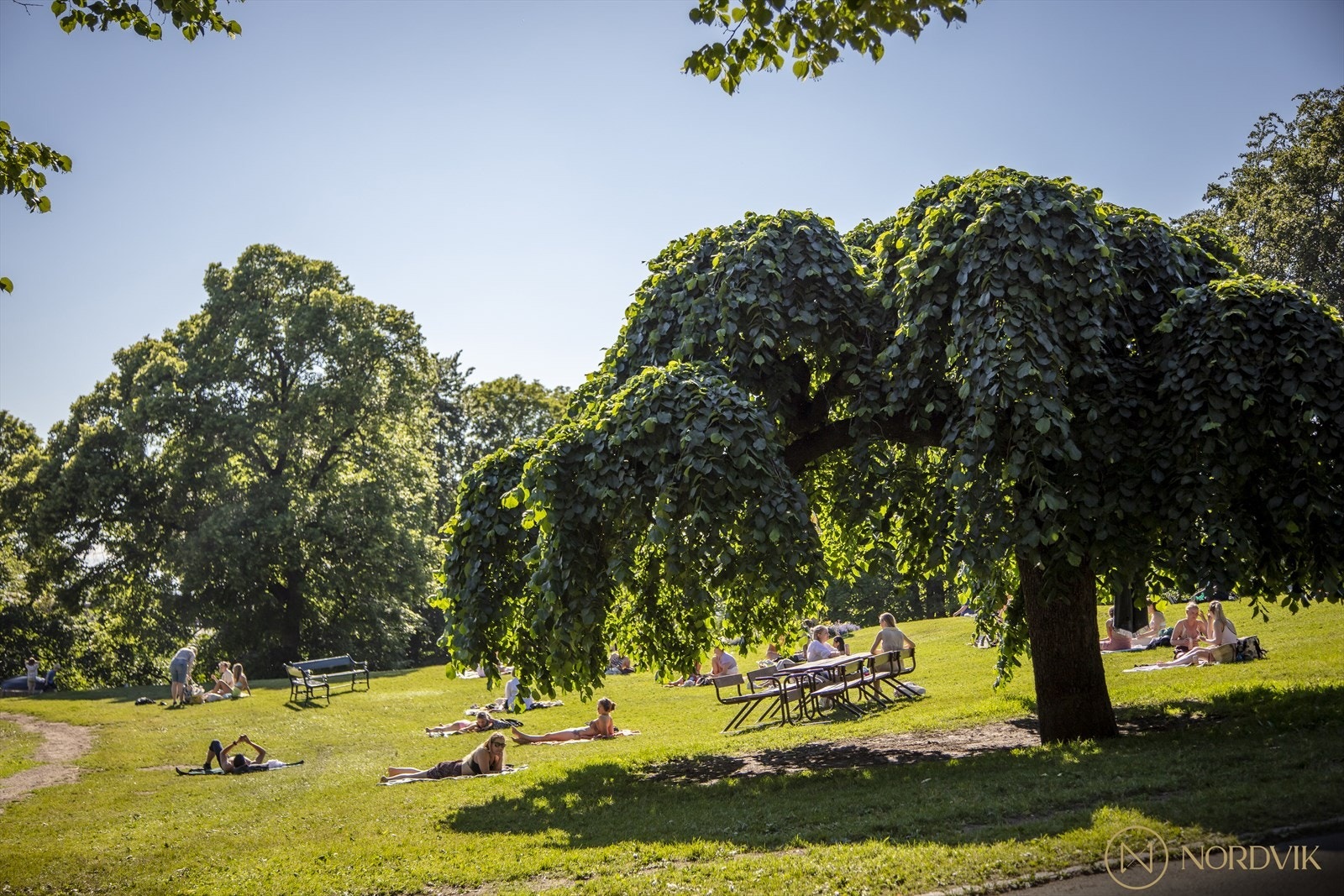 Stensparken er en annen grønn lunge som ikke er langt unna boligen. Galleribilde