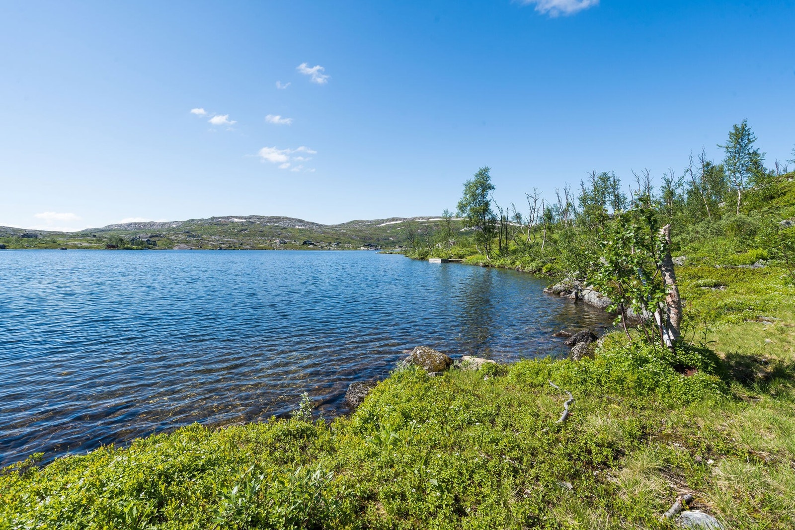 Vannkanten like nedenfor. Galleribilde