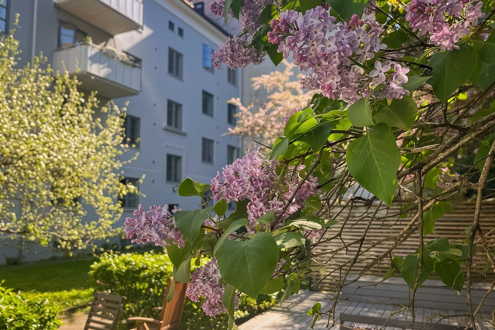 Uteområdet benyttes flittig av beboerne og oppleves som en oase midt i byen. Galleribilde