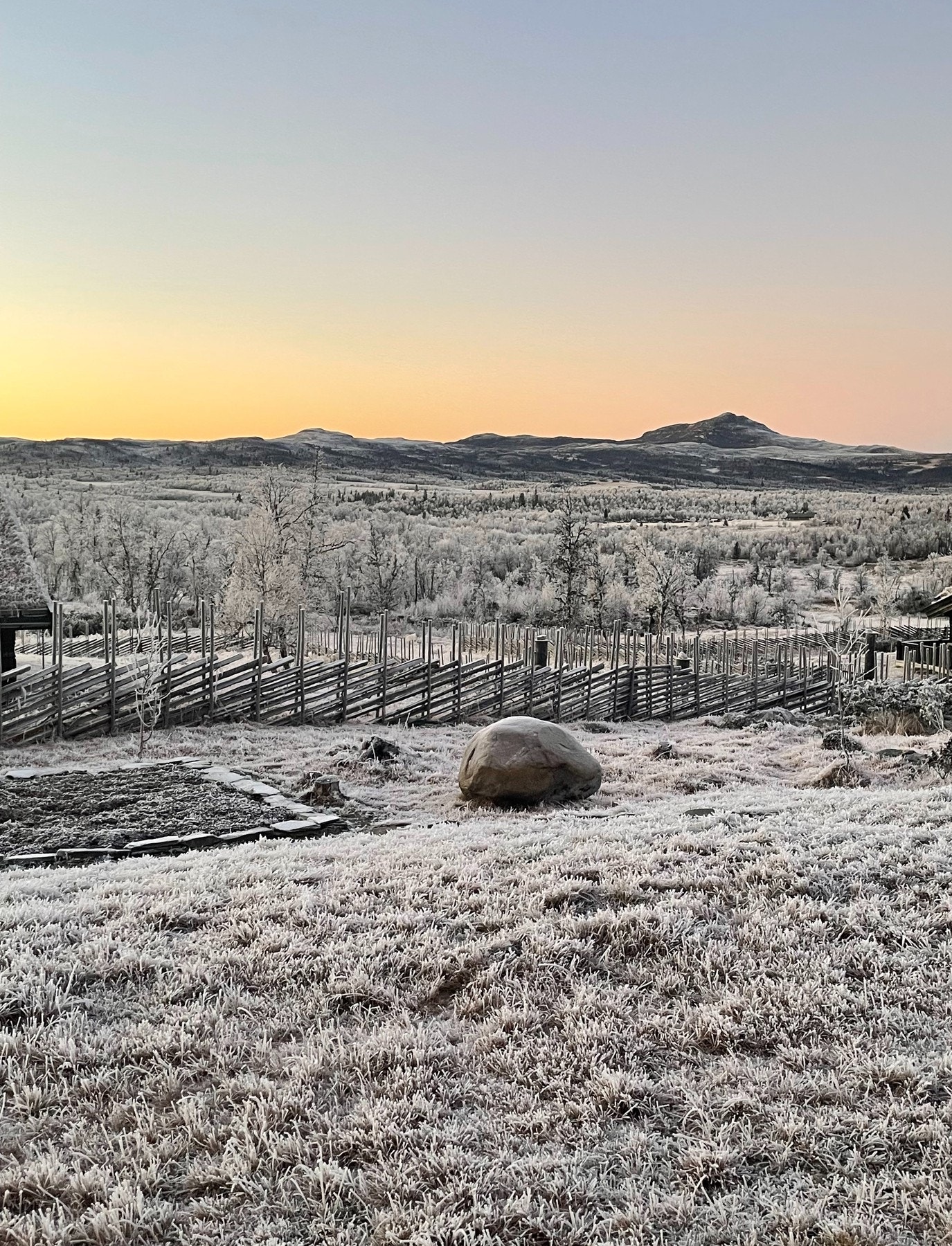 Selgers private bilde. Galleribilde