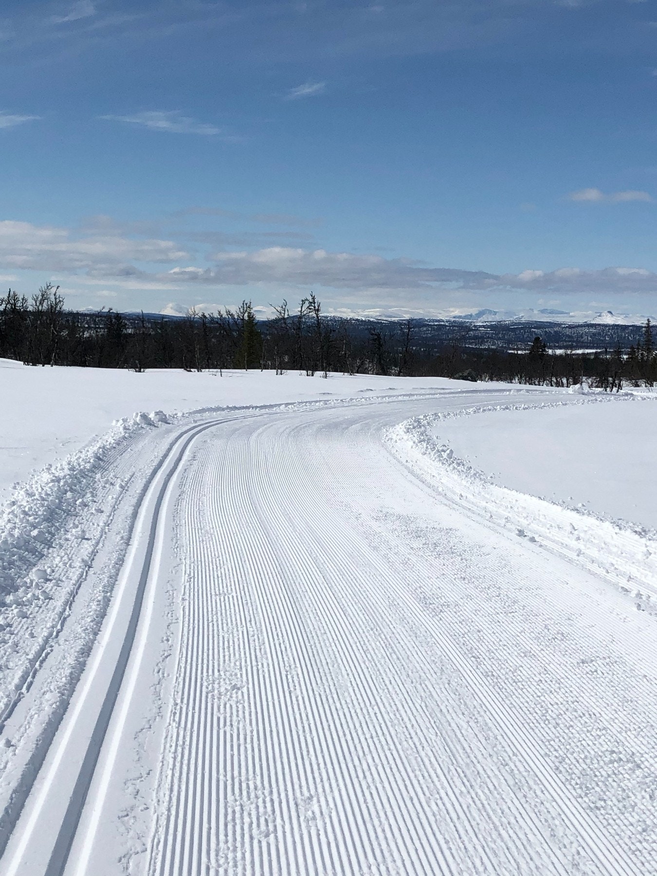 Selgers private bilde. Kort vei til flotte skiløyper Galleribilde
